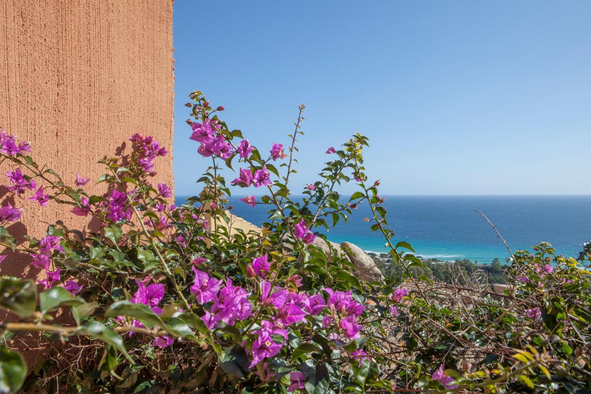 Apartment I Nidi Dei Cormorani Costa Rei Zewnętrze zdjęcie